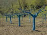 db_MK-Umbrien-2011-Preci-42