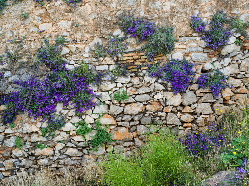 02c-Nafplio-X1D-19