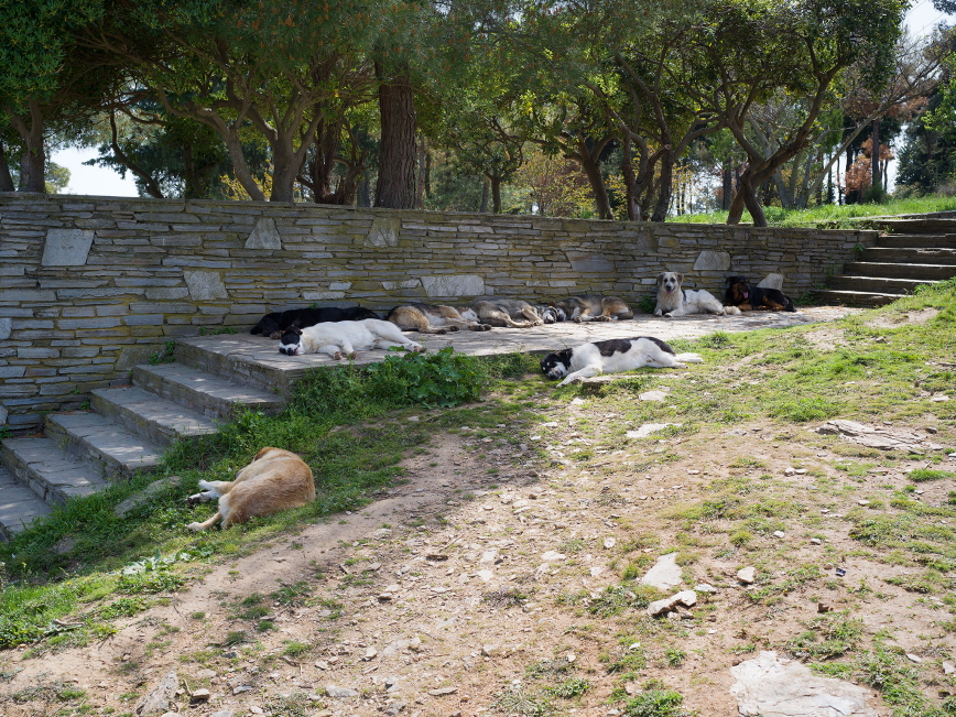 32-Thessaloniki-X1D-11