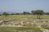 36-Olynthos-M240-26