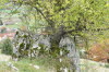 Anderle-L1180782