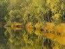 MK-Haspelmoor-Herbst-30
