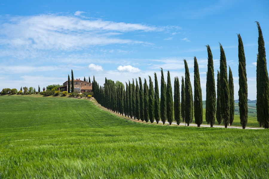MK-San Quirico2017-13