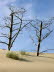MK-Slowinski-Park-A0004383