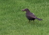 Raith-P6060112