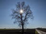 Raith_2280150