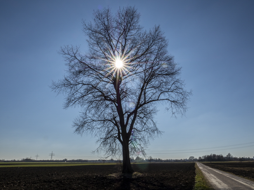 Raith_2280150