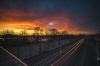 Schmeis-Kissing-Morgenrot