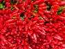 Stamminger-2Farben-5