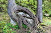Stamminger-IMG_0719