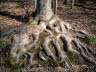 Stamminger-IMG_20220305_134845