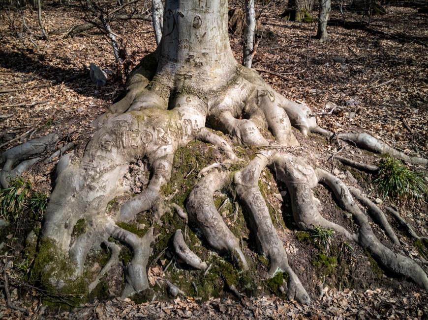 Stamminger-IMG_20220305_134845