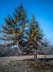 Stamminger-IMG_20220310_114658