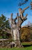 Stamminger-P1010753