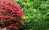 Wahrlich-2Farben-8